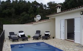 Danlux Moli 14